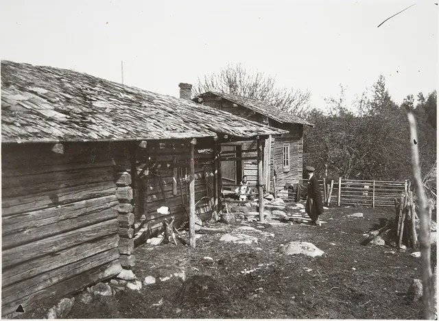 Camping and Accommodation