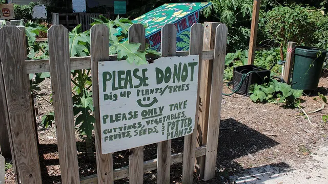 "Please do not dig up plants" handmade sign at community food plot in Ybor City, Tampa, Florida, US, on 9 August 2026
