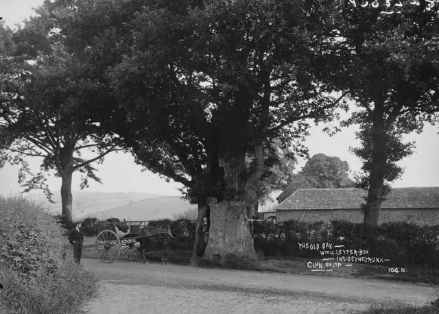The old oak with letter-box inside the trunk Clun Salop (1293730)