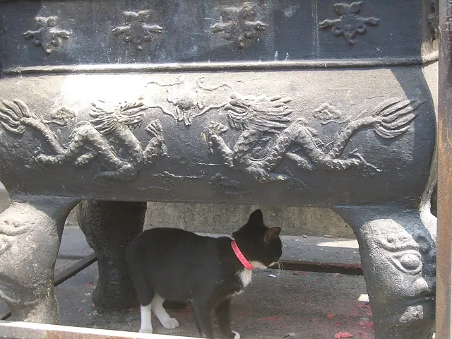 Changchun-Temple-incense-burner-and-cat-0321